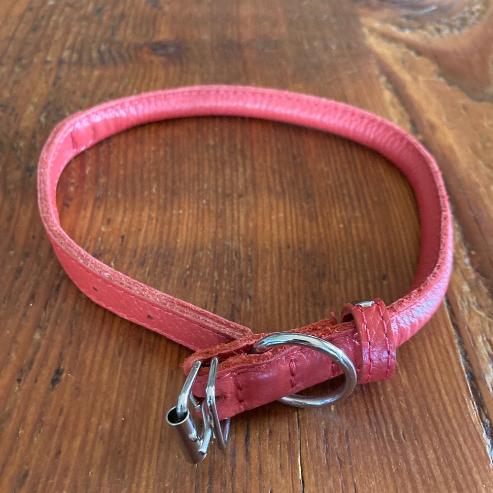 NWOT Rolled Leather Dog Collar in Red, Collar Direct